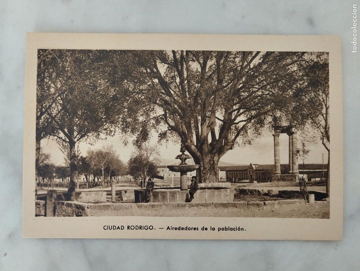 Postales: CIUDAD RODRIGO SALAMANCA - ALREDEDORES DE LA POBLACION -LIB. CEJUDO