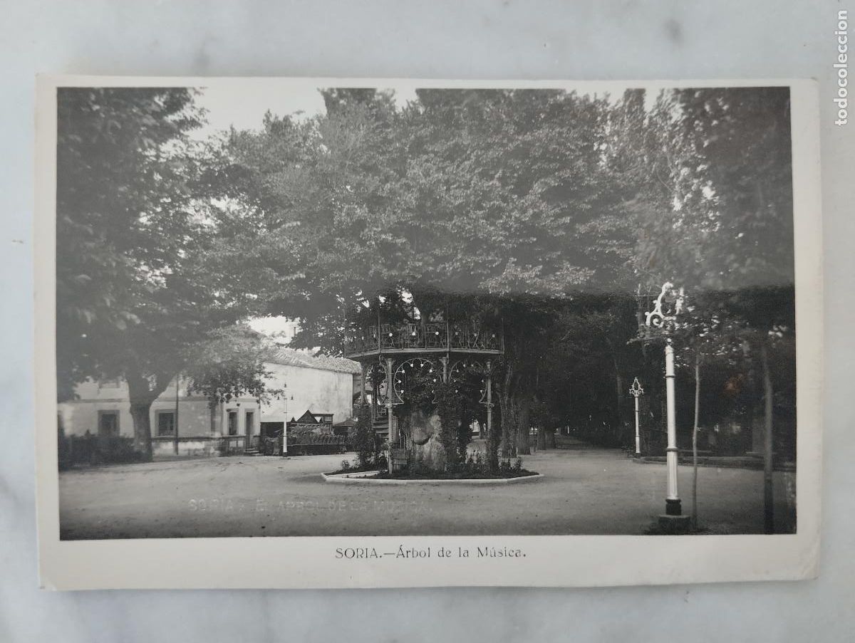 Postales: POSTAL FOTOGRAFICA SORIA ARBOL DE LA MUSICA