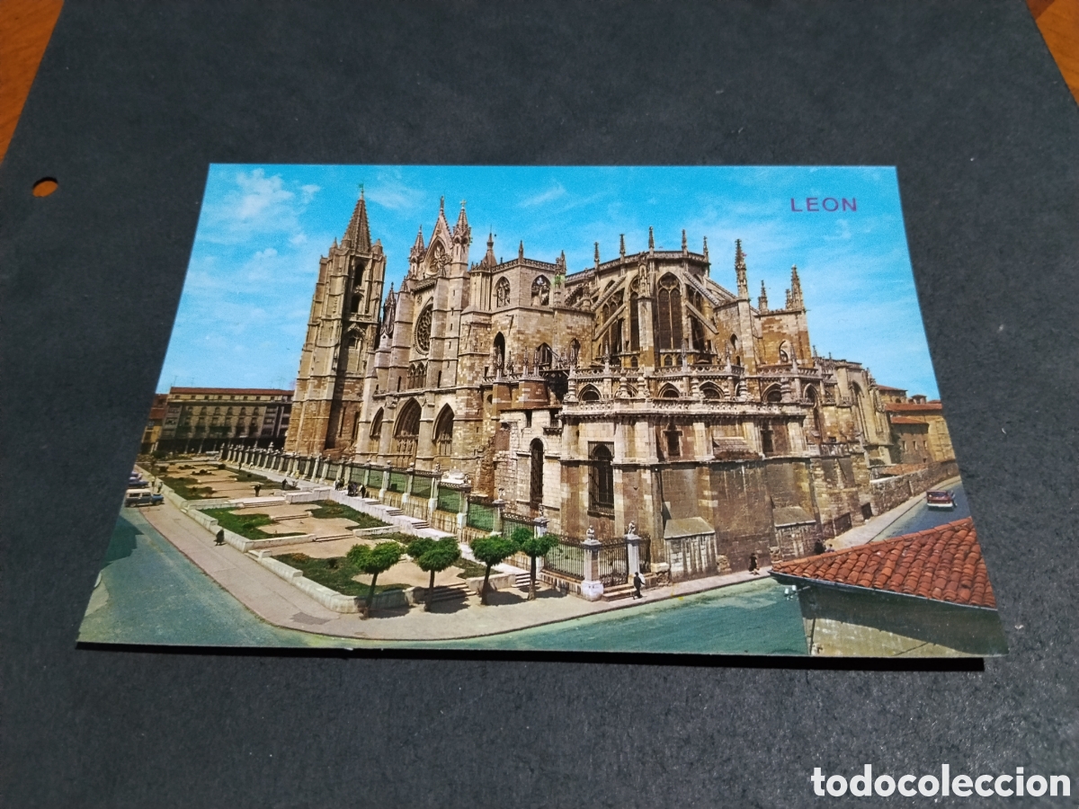Postales: Postal le&oacute;n catedral