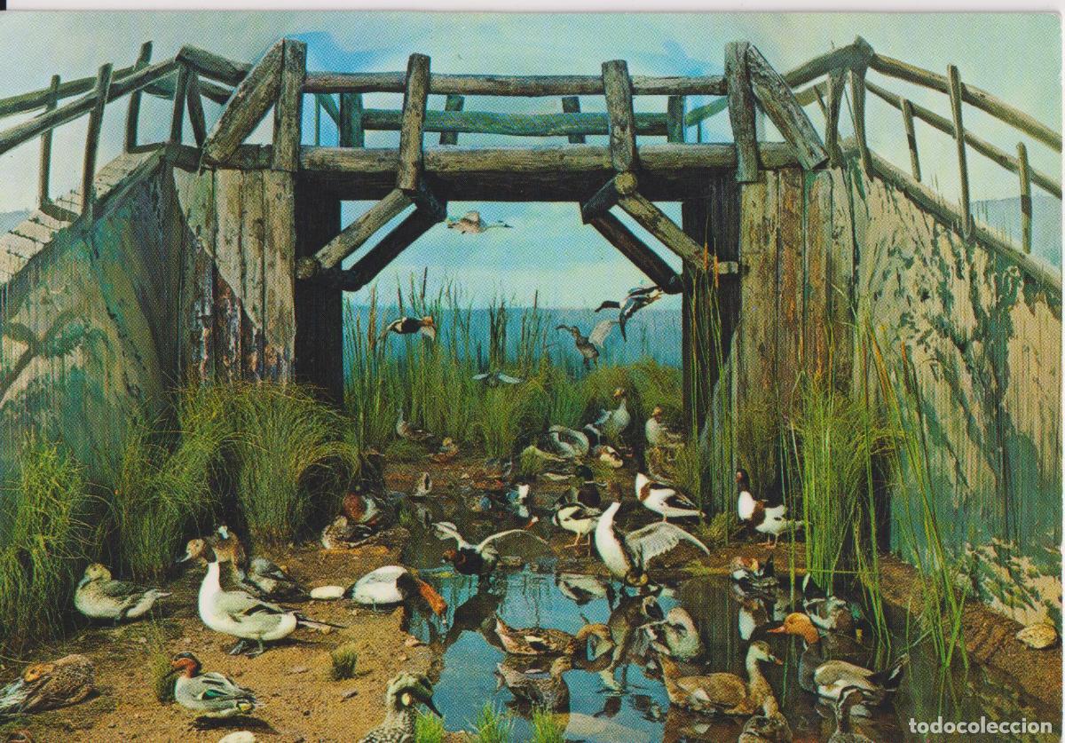 Postales: SEGOVIA, PALACIO DE RIOFRIO, MUSEO DE CAZA, PATOS - EDITORIAL PATRIMONIO NACIONAL 125 - S/C