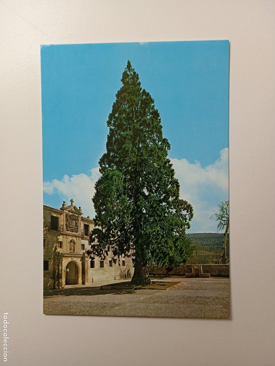 Cartes Postales: POSTAL DE ABAD&Iacute;A DE SANTO DOMINGO DE SILOS. TDKP30M