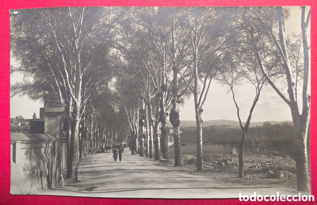 Postales: ZAMORA ALAMEDA PASEO DE SAN MART&Iacute;N POSTAL FOTOGR&Aacute;FICA C. 1915