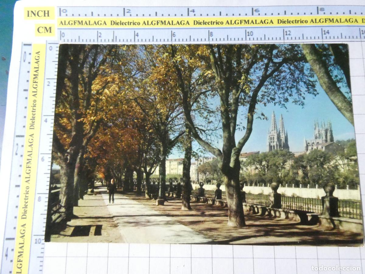 Postales: POSTAL DE BURGOS. A&Ntilde;O 1962. PASEO Y CATEDRAL. 8 MANIPEL. 4747