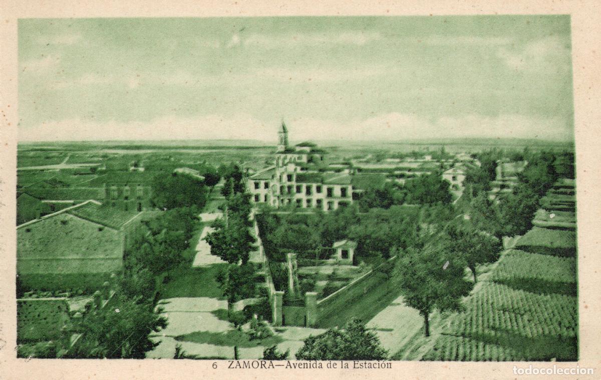 Cartoline: BONITA POSTAL - ZAMORA - AVENIDA DE LA ESTACION - MATEU