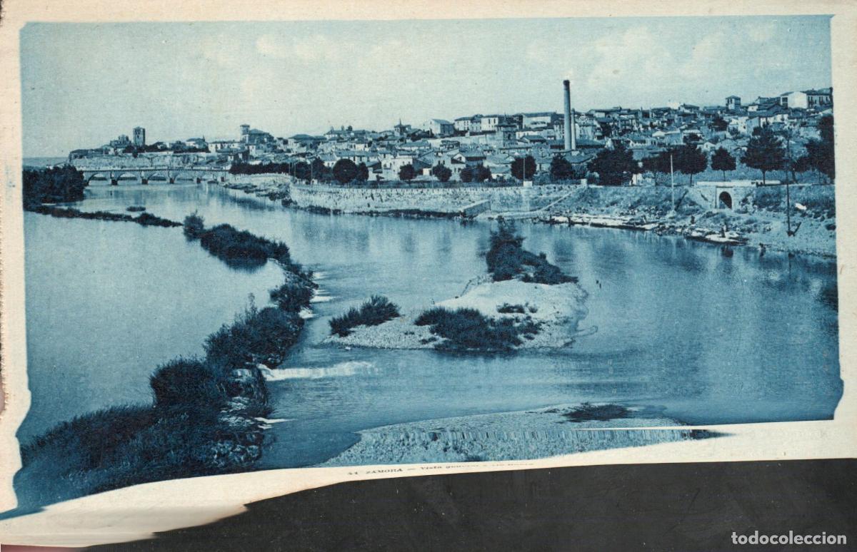 Cartoline: BONITA POSTAL - ZAMORA - VISTA GENERAL Y RIO DUERO - L.ROISIN