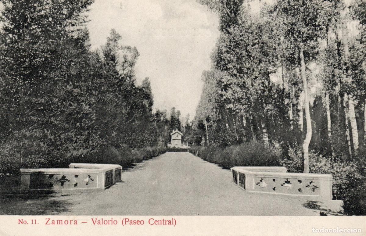 Cartoline: BONITA POSTAL - ZAMORA - VALORIO - PASEO CENTRAL - EDICION GARCIA HERMANOS