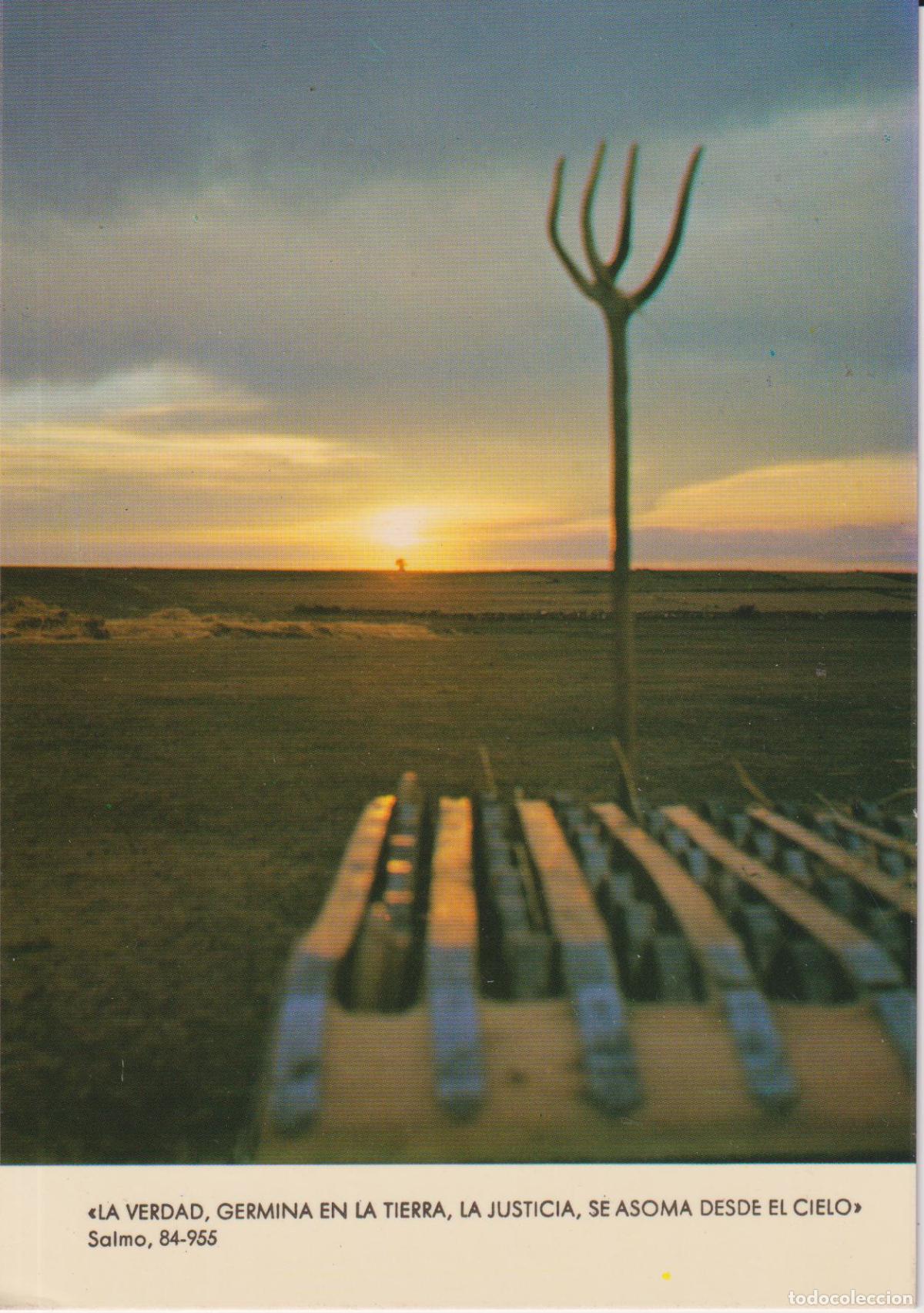 Postales: ZAMORA, CAMPOS DE ZAMORA - SERIE LUZ N&ordm;6 - ESCRITA