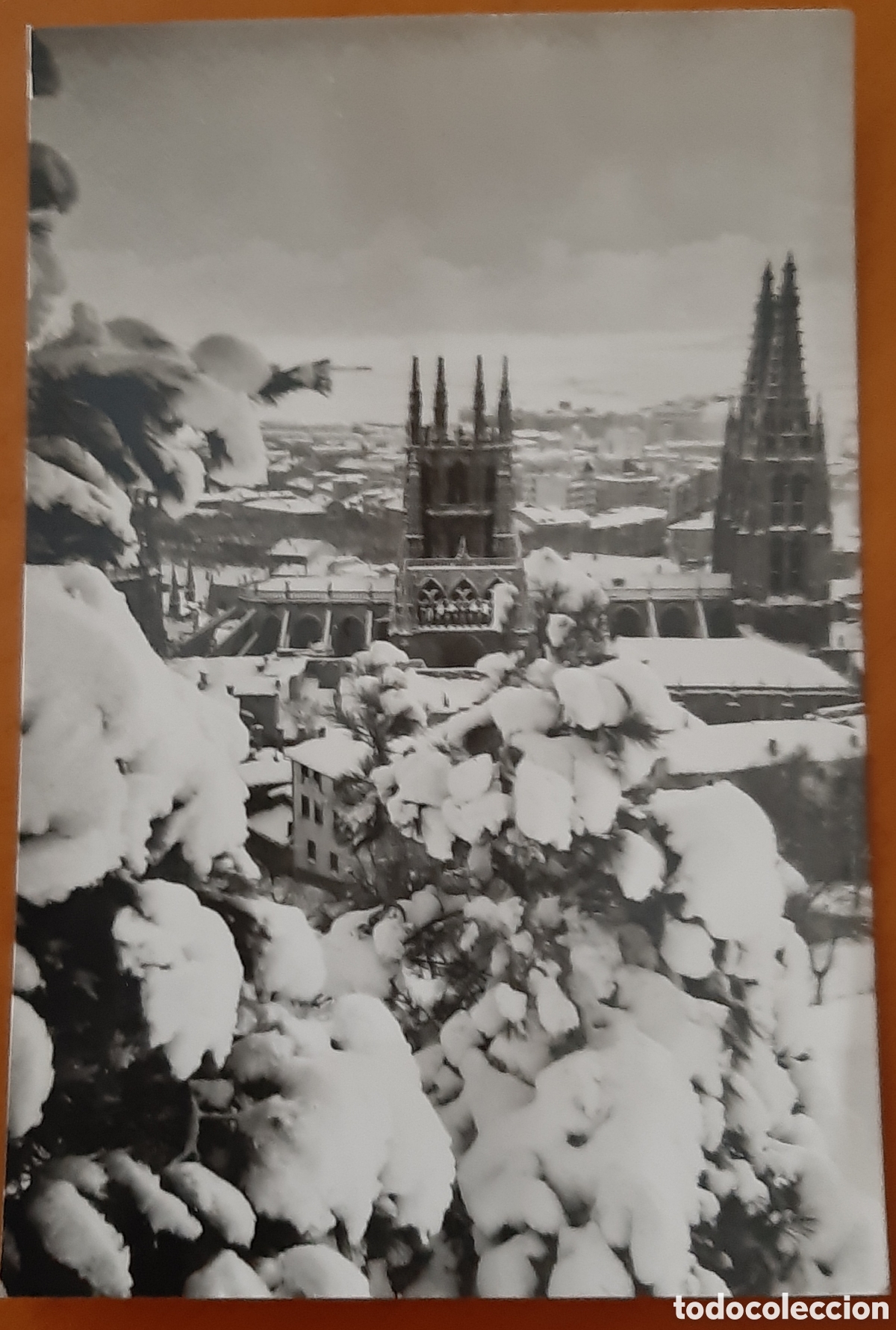 Cartoline: Postal Burgos. Vista parcial. Sin escribir. R10343