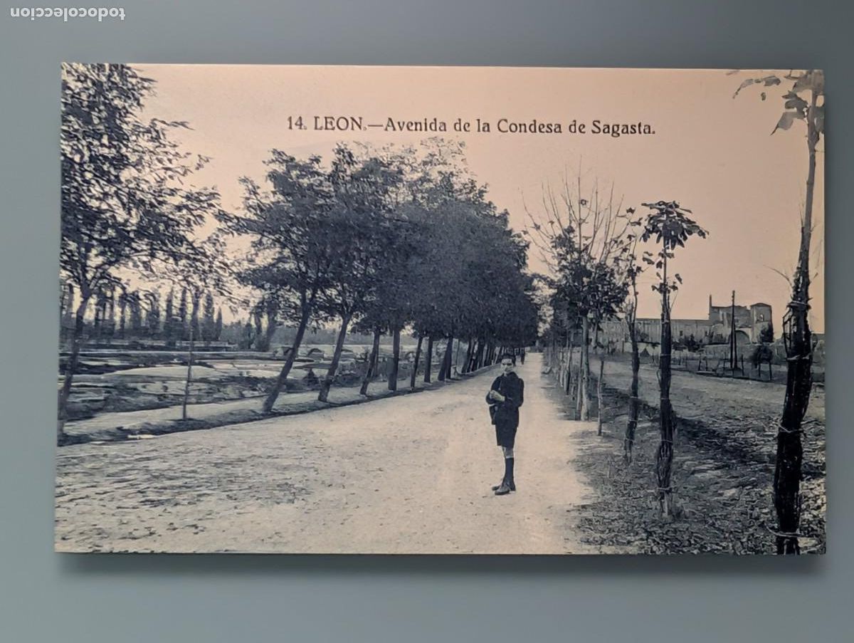 Postcards: DIFICIL POSTAL N&deg; 14 LEON AVENIDA DE LA CONDESA DE SAGASTA PERFECTA CONSERV