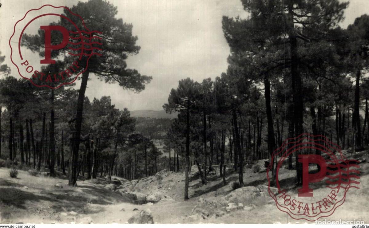 Postales: AVILA. NAVAS DEL MARQUES. EL PINAR.
