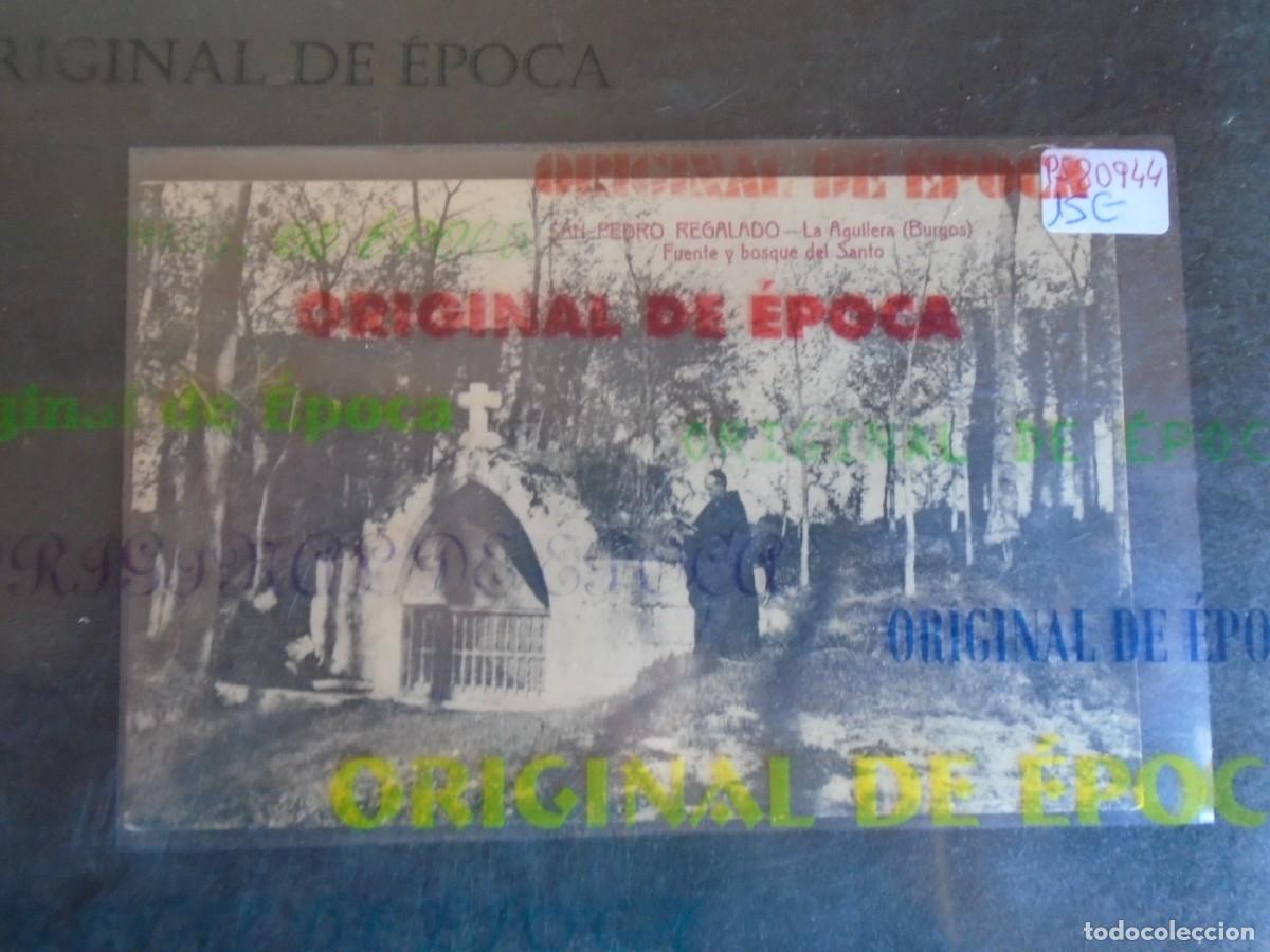 Postales: (PS-80944)POSTAL DE SAN PEDRO REGALADO(BURGOS)-LA AGUILERA.FUENTE Y BOSQUE DEL SANTO