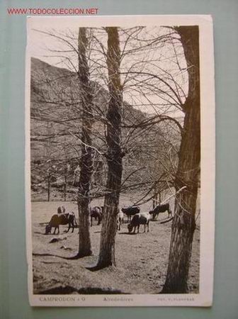 Postales: CAMPRODON ALREDEDORES - Foto 1