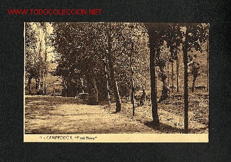Postales: Postal de CAMPRODON (Girona): Font nova (Thomas  num. 10) - Foto 1