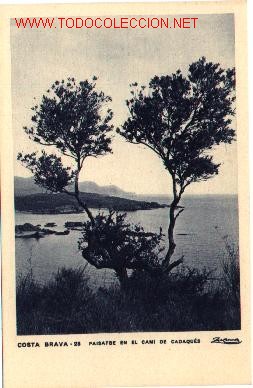 Postales: Girona : Cami de Cadaqu&eacute;s - Foto 1