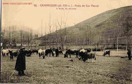 Postales: CAMPRODON , GERONA - Foto 1