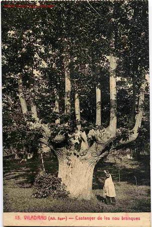 Postales: VILADRAU  , GERONA - Foto 1