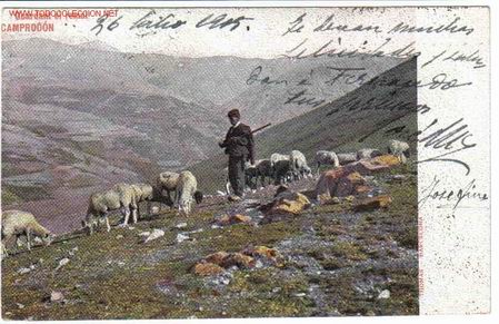 Postales: CAMPRODON ,  GERONA - Foto 1