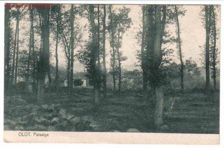 Postales: OLOT GERONA - Foto 1
