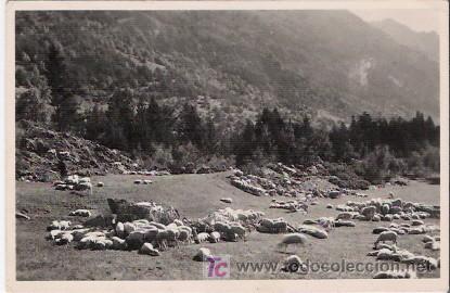 Postales: POSTAL DEL VALLE DE ESPOT, DE L&Eacute;RIDA - Foto 1