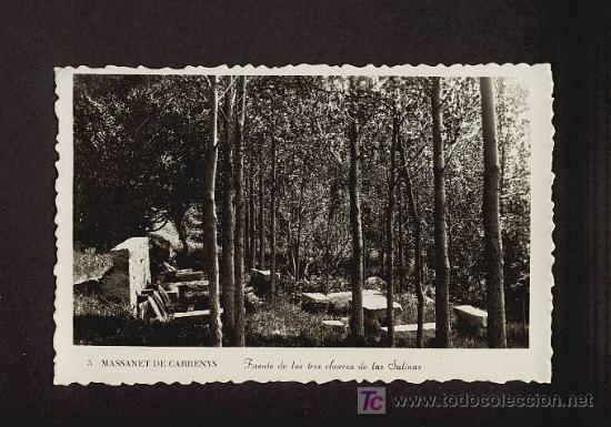 Postales: Postal de MA&Ccedil;ANET DE CABRENYS (Girona): Font dels 3 raigs de Les Salines (num.5)