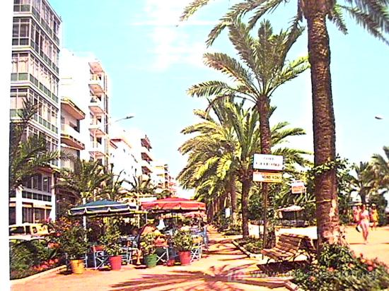 Postales: POSTAL DE LLORET DE MAR CIRCULADA EN 1982 - Foto 1
