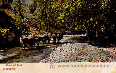 Postales: CAMPROD&Oacute;N. RIVERA DEL RITORT. - Foto 1