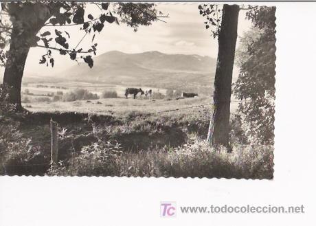 Cartoline: PUIGCERDA-TARJETA POSTAL DE PUIGCERDA N&ordm;16.-VISTA PANORAMICA.