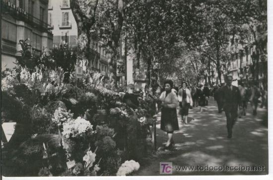 Postales: BARCELONA. LES  RAMBLES. - Foto 1
