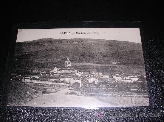 LLIVIA, CERDA&Ntilde;A ESPA&Ntilde;OLA