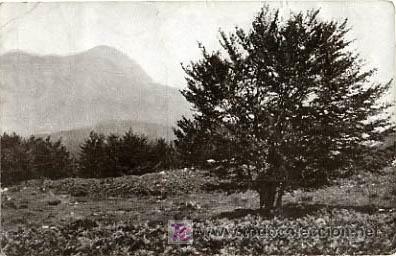 Postales: GERONA,  TURO DE MORON,              P13445 - Foto 1