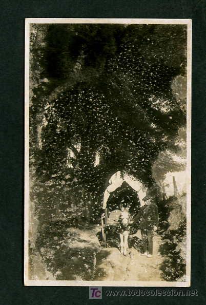 Cartoline: Arenys de Mar. TP fotogr&aacute;fica *Rial del Bareu, els pins de cal Marqu&eacute;s, 1931*