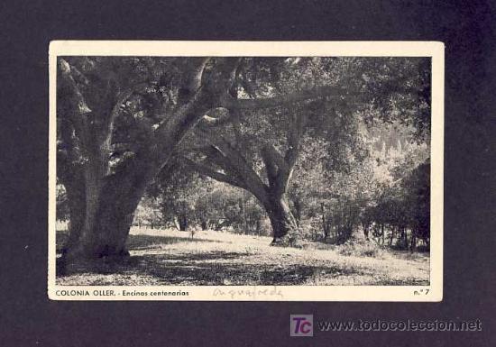 Postales: Postal d AIGUAFREDA: Alsines centen&agrave;ries (num.7) - Foto 1