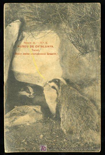 Postkarten: TARJETA POSTAL MUSEO DE CATALUNYA. TOIX&Oacute;, SERIE B N&ordm; 9