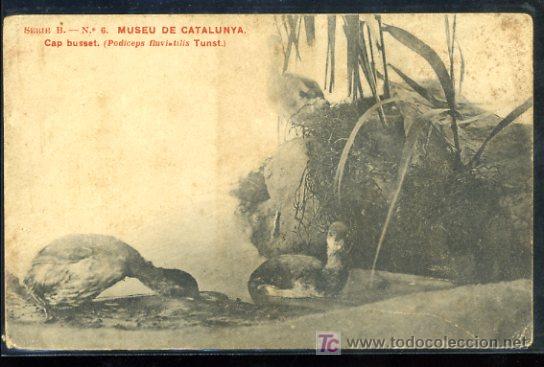 Postkarten: TARJETA POSTAL MUSEO DE CATALUNYA, CAP BUSSET SERIE B N&ordm; 6