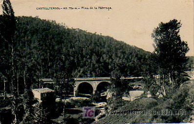 Postcards: CASTELLTERSOL. ALT. 750 M. PINS DE LA F&Agrave;BREGA.
