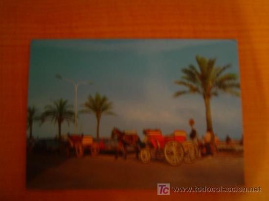 Postales: POSTAL COSTA BRAVA LLORET DE MAR, PASEO - Foto 1