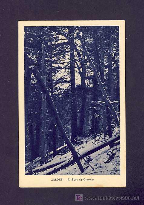 Postales: Postal de SALDES (Barcelona): El bosc de Gresolet (Mumbru) - Foto 1