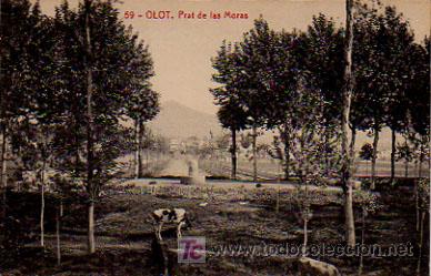 Postales: OLOT. PRAT DE LAS MORAS. (THOMAS - Foto 1