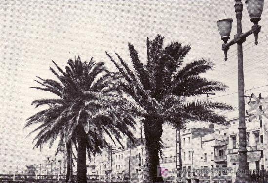 Postais: POSTAL DE PREMIA DE MAR N&ordm;12, PASEO MARITIMO