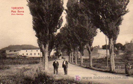 Postales: POSTAL TORDERA MAS BORRA - Foto 1