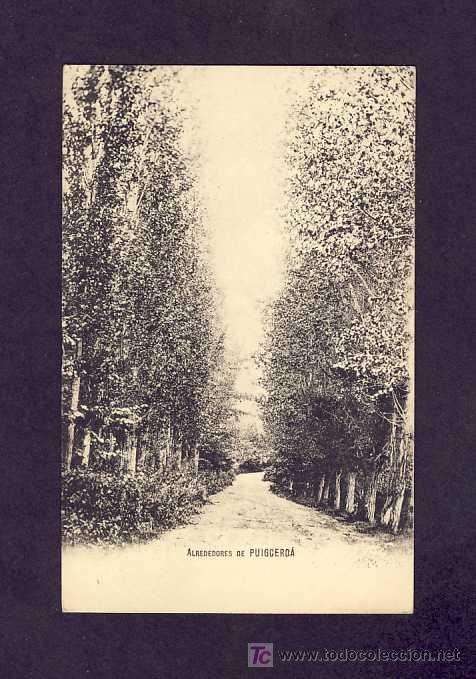 Postales: Postal de PUIGCERDA (Girona): Voltants - Foto 1