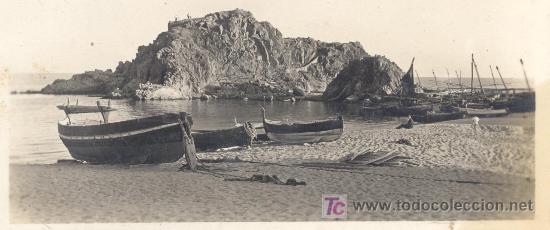 Postales: BLANES LA PALMERA - Foto 1