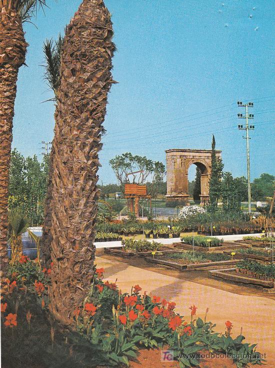 Postales: RODA DE BARA N&ordm;198, ARCO DE BARA - Foto 1