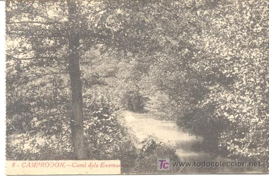 Postales: CAMPRODON - Foto 1