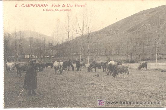 Postales: CAMPRODON - Foto 1