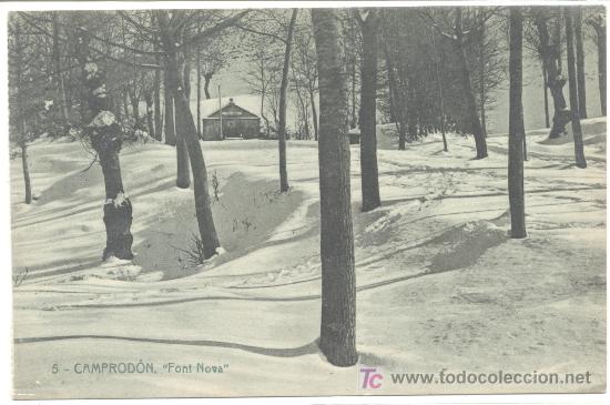 Postales: CAMPRODON - Foto 1