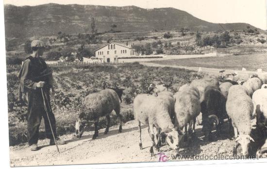Postales: CENTELLES - Foto 1