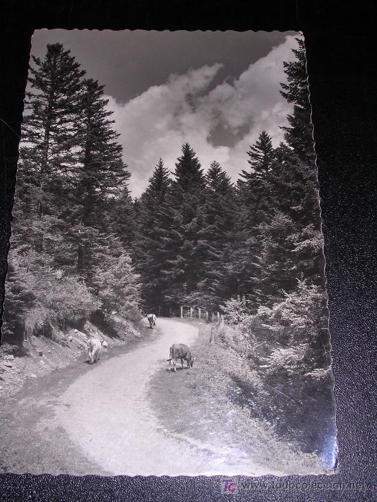 Postales: 357- VALLE DE ARAN ( LERIDA) CARRETERA DE ACCESO AL PORTILLON,.15X10 CM.