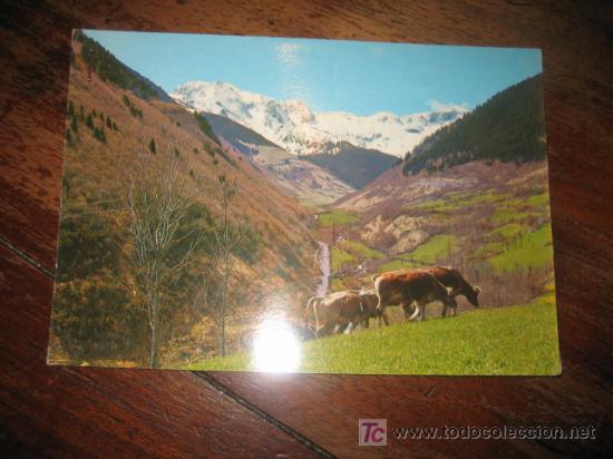 Postales: PIRINEU CATALAN    (LLEIDA) - Foto 1