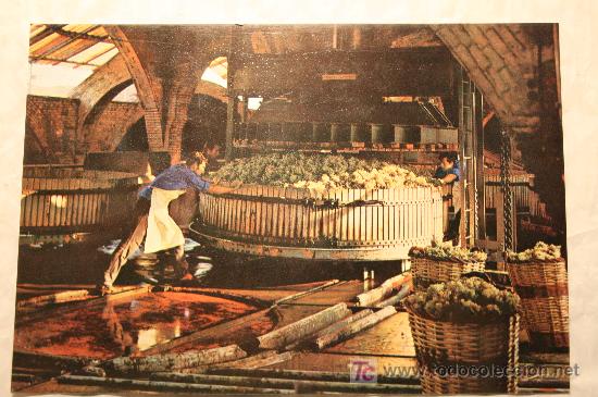 Postales: Postal cavas Codorniu 1976 - Foto 1
